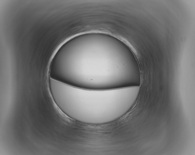 X0000112841532200908210948