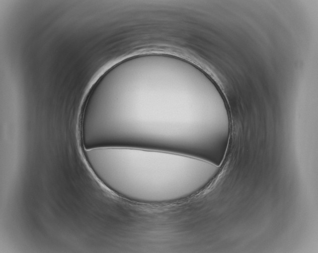 X0000112841533200908210949