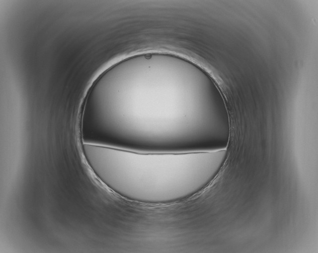 X0000112841534200908210949