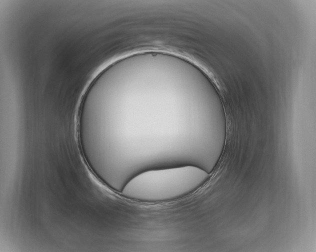 X0000112841535200908210949