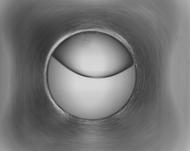 X0000112841536200908210949