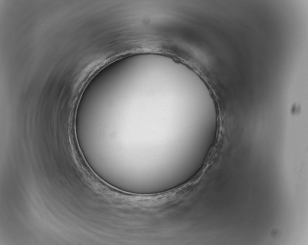 X0000112840001200908211251