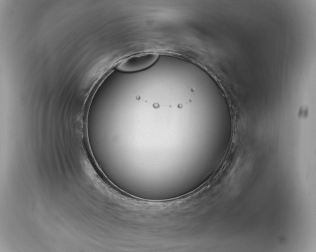 X0000112840002200908211251