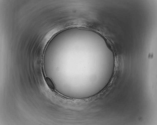 X0000112840003200908211251