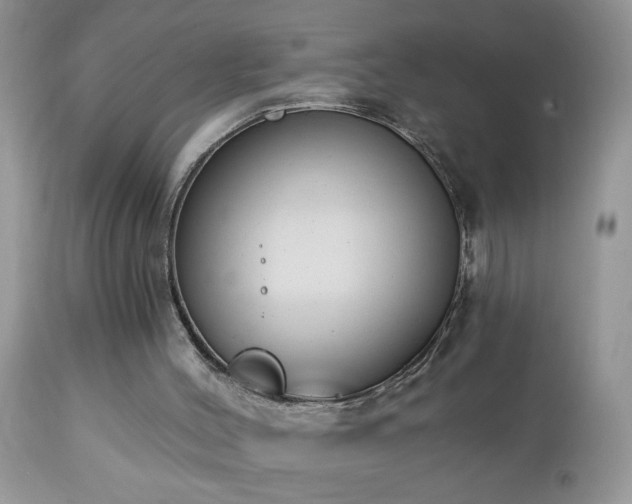 X0000112840004200908211251