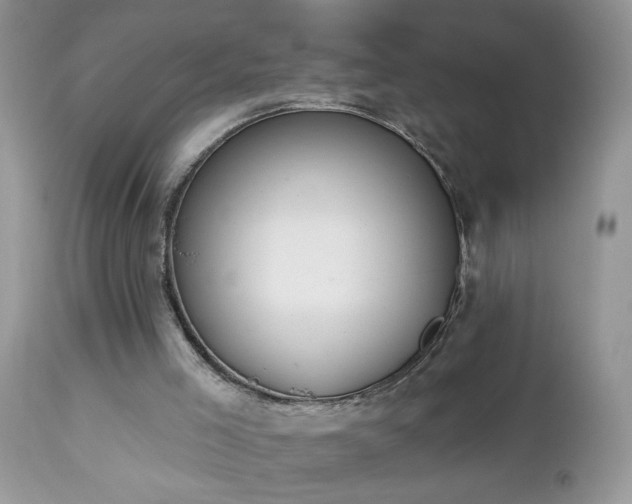 X0000112840005200908211251