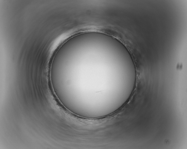 X0000112840006200908211251