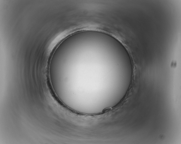 X0000112840007200908211251