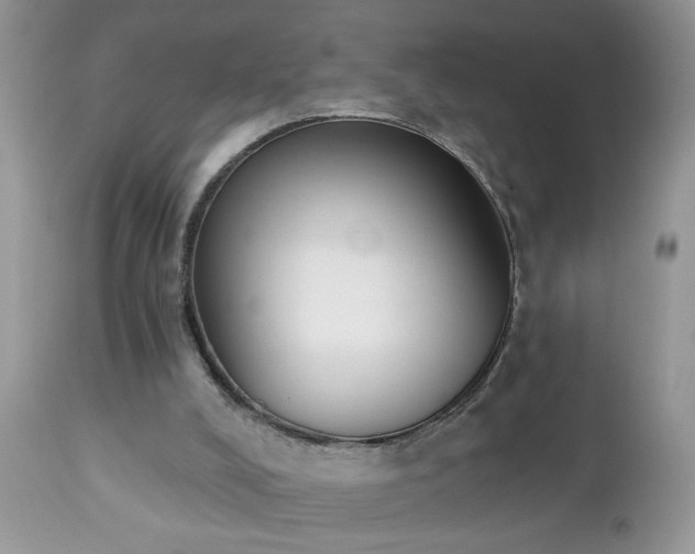 X0000112840008200908211251