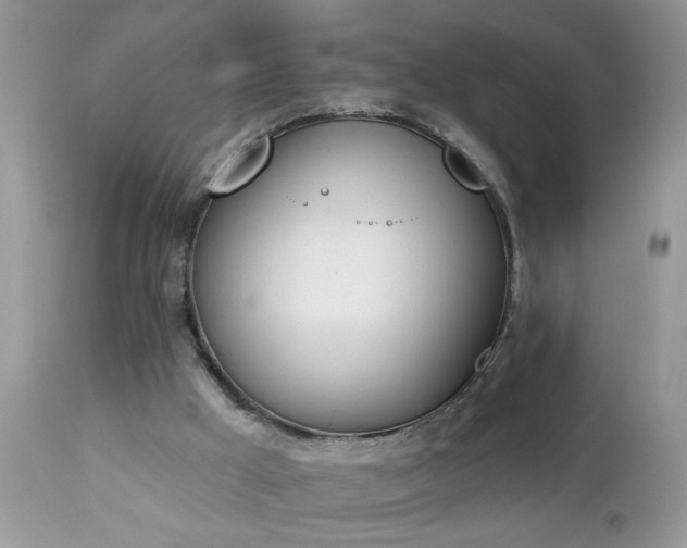 X0000112840009200908211251