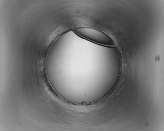 X0000112840010200908211251