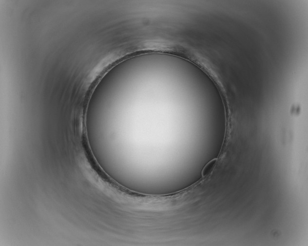 X0000112840011200908211251