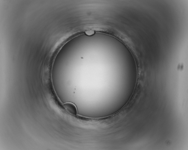 X0000112840012200908211251