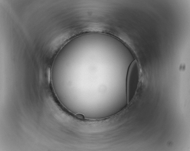 X0000112840013200908211251