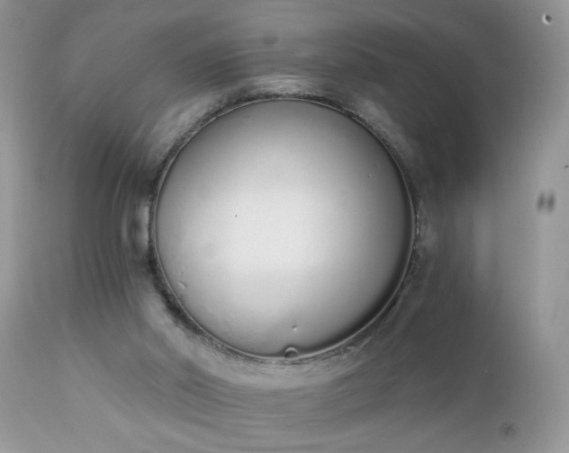 X0000112840014200908211251