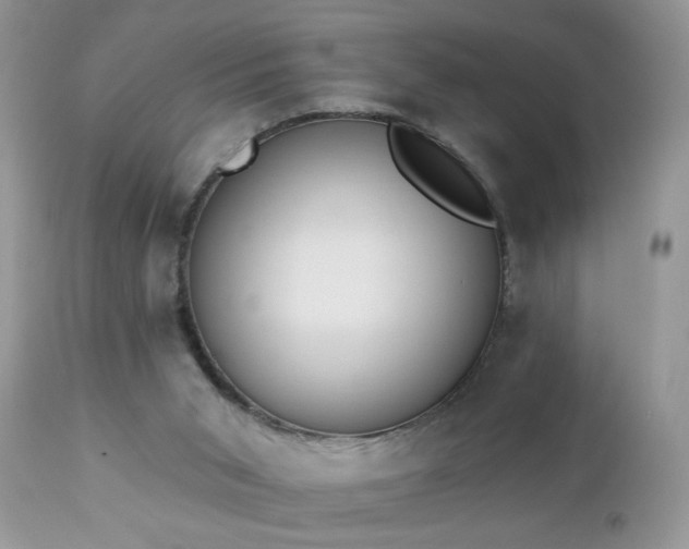 X0000112840015200908211251