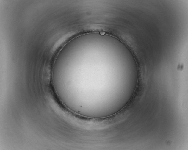 X0000112840016200908211251