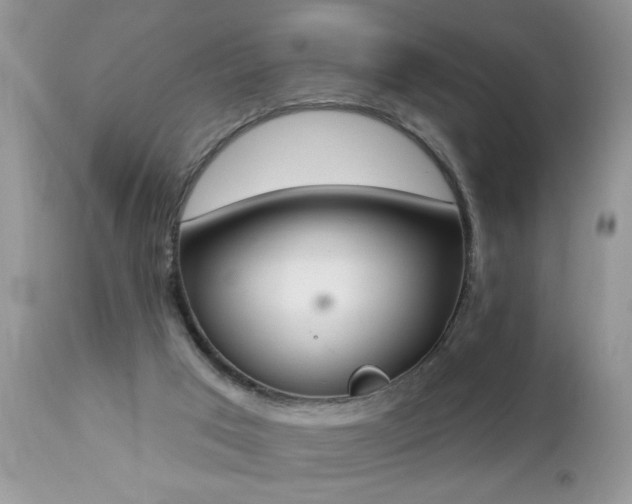 X0000112840017200908211251