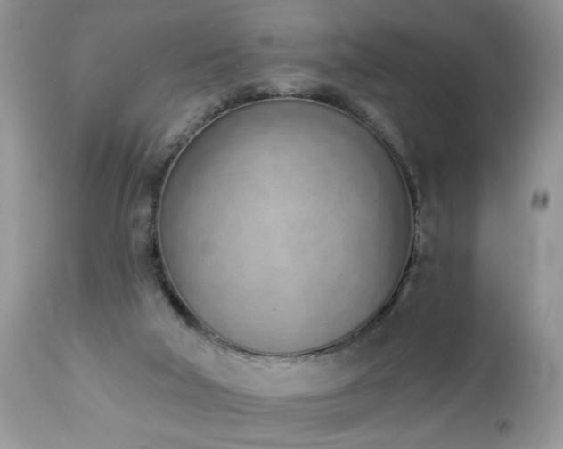 X0000112840018200908211251