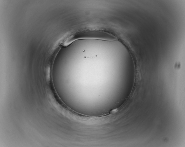 X0000112840019200908211251