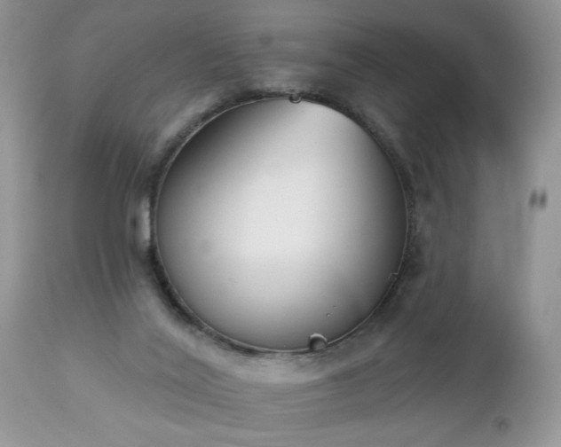 X0000112840020200908211251