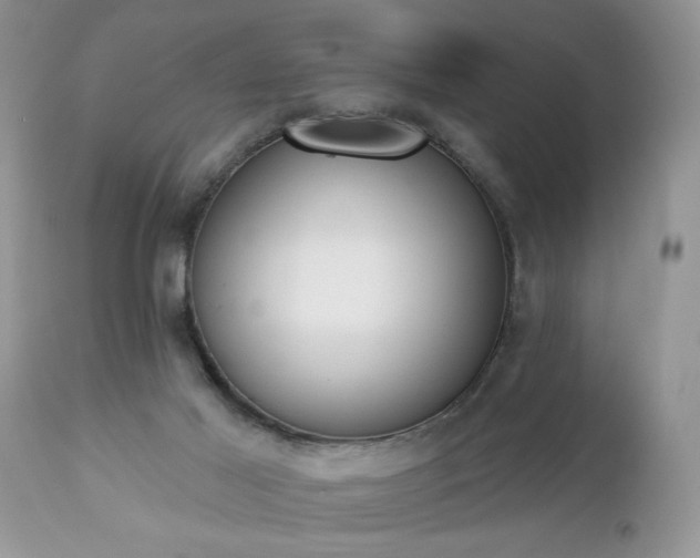 X0000112840021200908211251