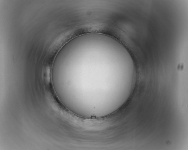 X0000112840022200908211251