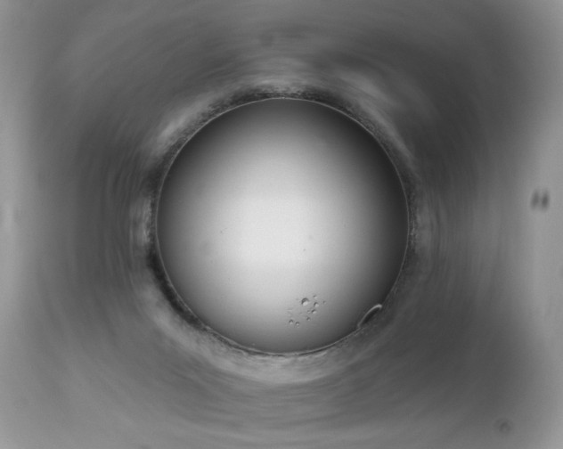 X0000112840023200908211251