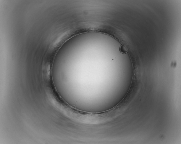 X0000112840024200908211251