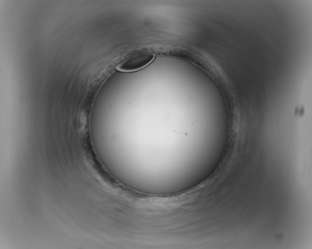 X0000112840025200908211251