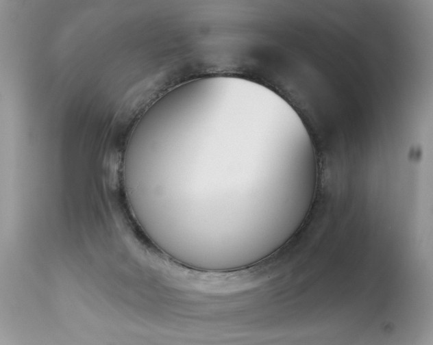 X0000112840026200908211251