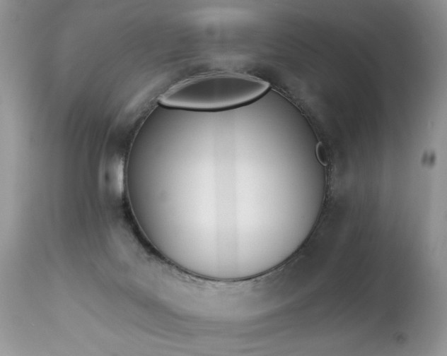 X0000112840027200908211251