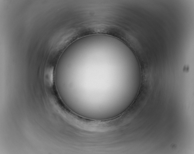 X0000112840028200908211251