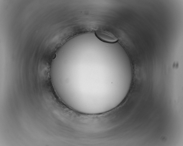 X0000112840029200908211251