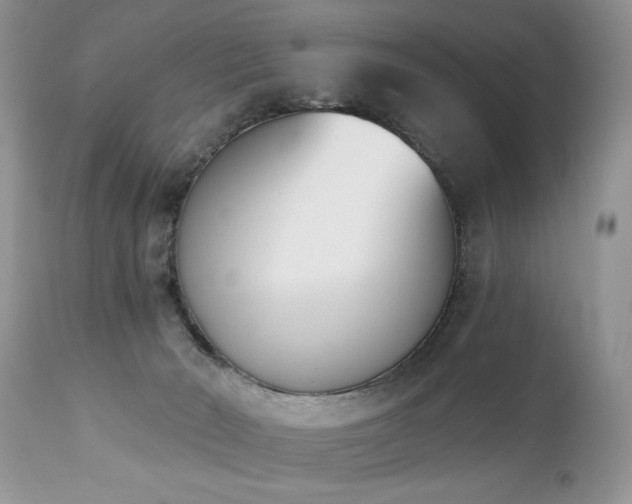 X0000112840030200908211251