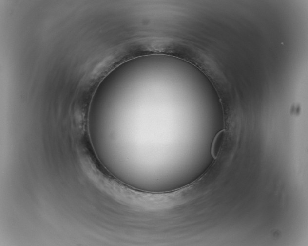 X0000112840031200908211251