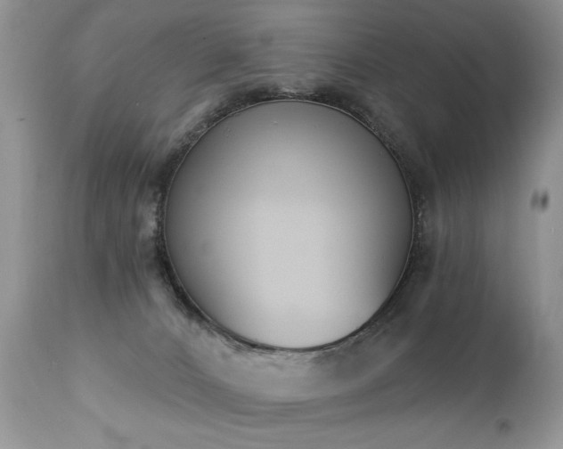 X0000112840032200908211251