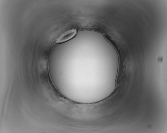 X0000112840033200908211251