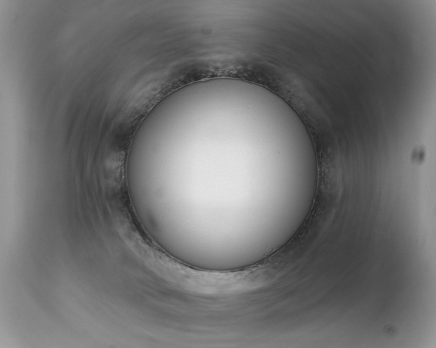 X0000112840034200908211251