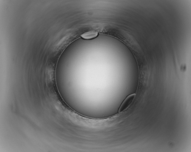 X0000112840035200908211251