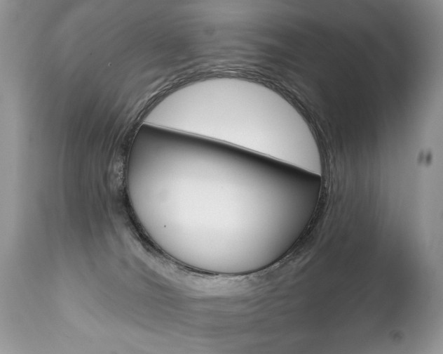 X0000112840036200908211251