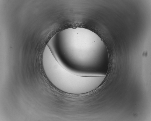 X0000112840037200908211251