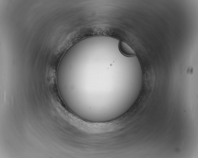 X0000112840038200908211251