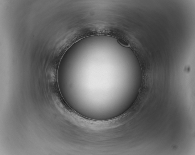 X0000112840039200908211251