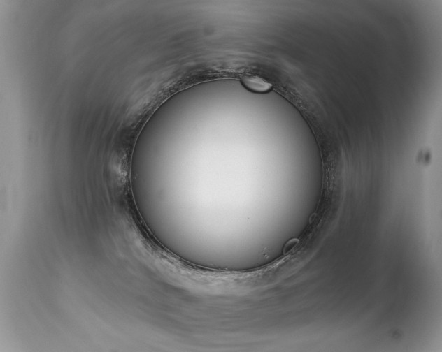 X0000112840040200908211251