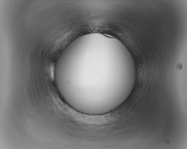 X0000112840042200908211251