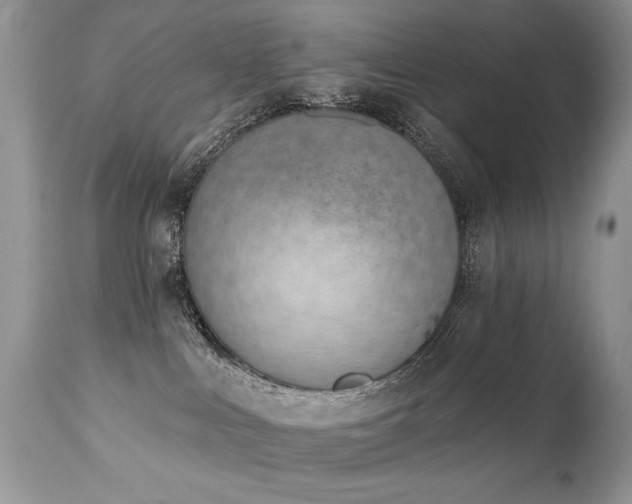 X0000112840043200908211251