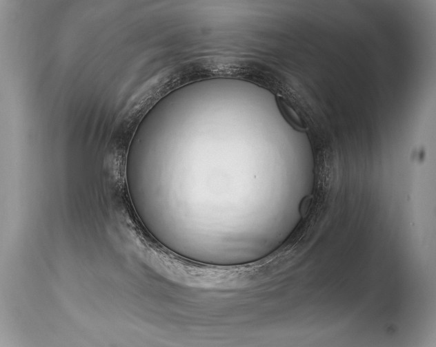 X0000112840044200908211251