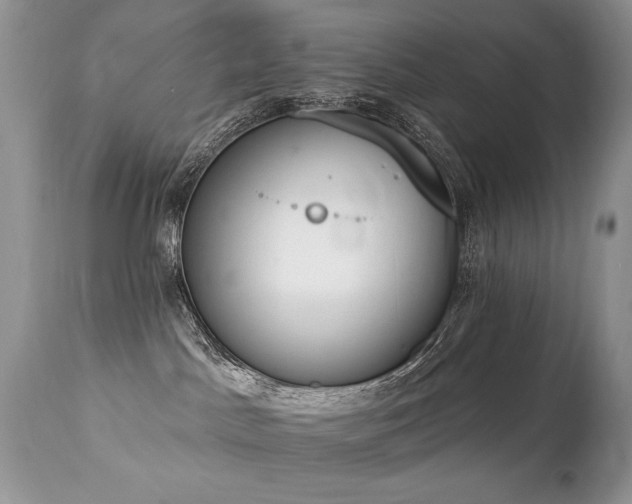 X0000112840045200908211251