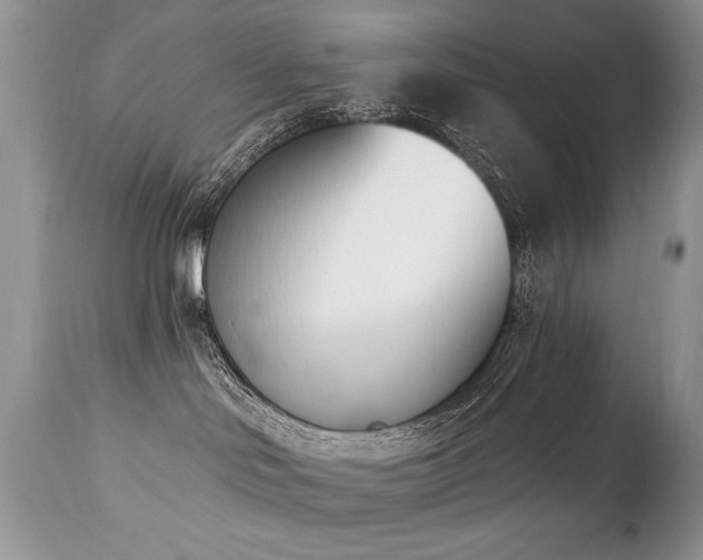 X0000112840046200908211251